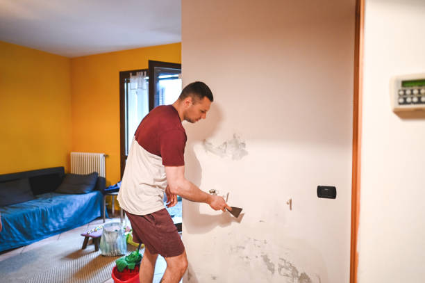 Best Mold Testing and Inspection Services in Mayo, SC